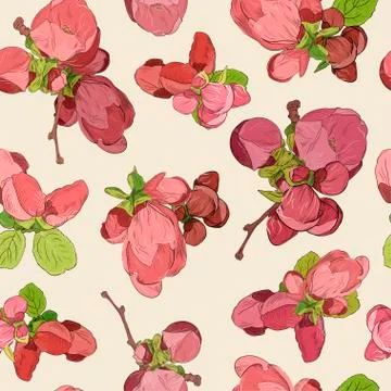 Spring blossom pink flowers pattern background. Drawn beautiful fruit bloomin イラスト素材