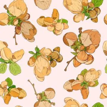 Spring blossom pink flowers pattern background. Drawn beautiful fruit bloomin Illustrazione stock