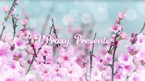 Spring Blossom Slideshow Stock After Effects