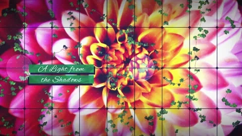 Spring Blossom Slideshow Stock After Effects