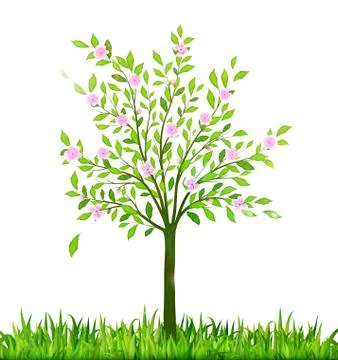 Spring blossom tree with green grass vector Stock Illustration