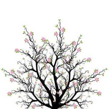 Spring Blossom Tree Stock Illustration
