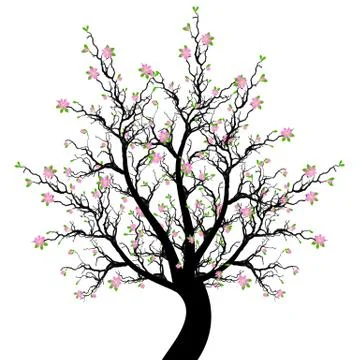 Spring Blossom Tree Stock Illustration