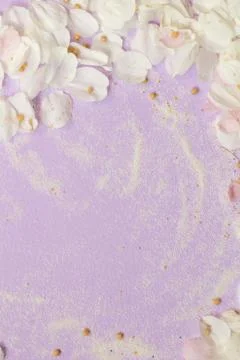Spring blossoming flower on the light lavender background. Space for text Stock Photos