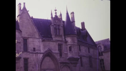 Spring blossoming in front of parisian architecture Stock Footage 291049358