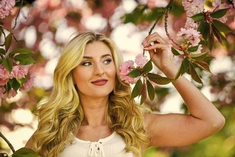 Spring blossoming tree. Spring symbol. Reasons why flowers always make women Stock Photos