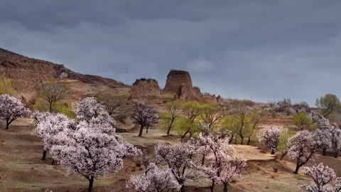 Spring Blossoms and Ancient Earthen Ruins Under Overcast Sky Beijing China Stock Footage 346574226
