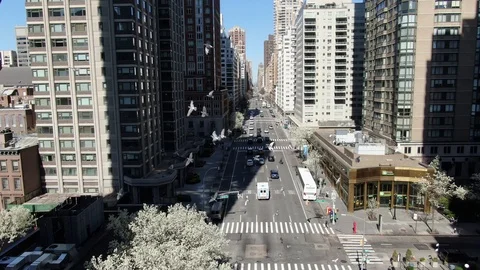 Spring blossoms on a deserted avenue where no traffic moves at all Vídeos de archivo 127306269