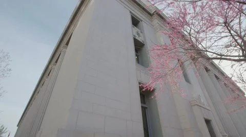 Spring blossoms in front of courthouse building pan establishing shot Vídeos de archivo 49145994