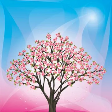 Spring blue - pink background with sakura - japanese cherry tree Stock Illustration