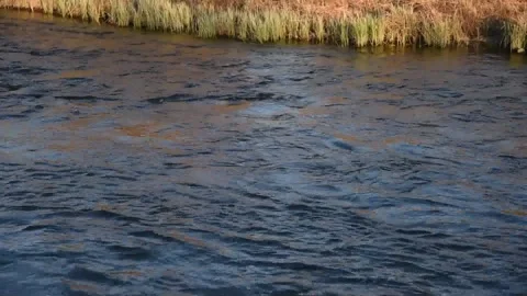 Spring blue river in the mountains during the day Stock Footage 194485922