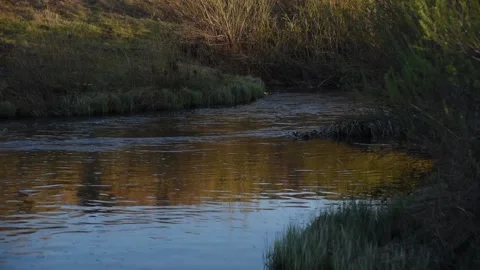 Spring blue river in the mountains during the day Stock Footage 194485928