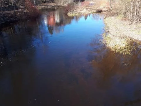 Spring on the blue river Stock Photos