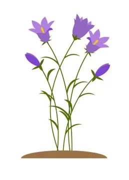 Spring Bluebell Flowers Background Vector Illustration Stock Illustration
