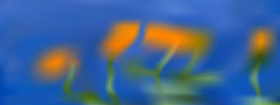 Spring blur flower gradient background. Gentle orange flower on blue gradation Stockillustratie