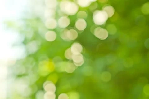 Spring blurred background Stock Photos