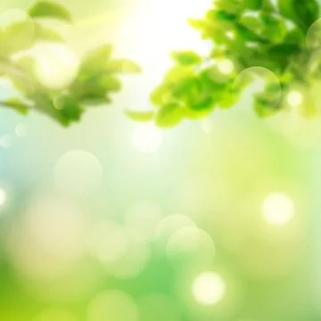 Spring blurred background, young greenery, sky, sun rays Stock Photos