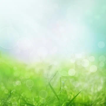 Spring bokeh background with green grass Stock Photos