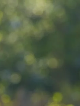 Spring bokeh background Stock Photos