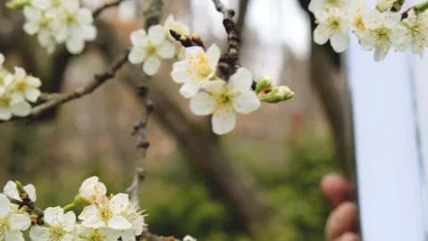 Spring books. Stack of books in hands in the spring garden Stock Footage 271222191