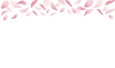 Spring border with Sakura, Cherry blossom petals. Stock Illustration