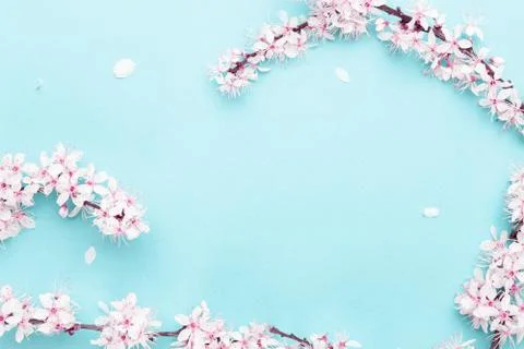 Spring border, spring blossom and April floral nature on blue background. Bra Stock Photos