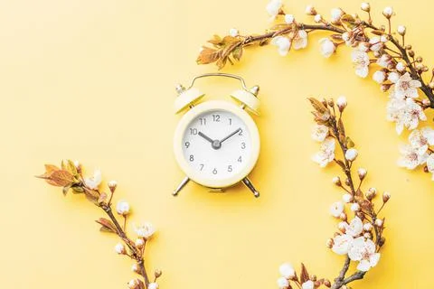 Spring border, spring blossom and April floral nature with alarm clock on yel Stock Photos
