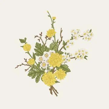 Spring bouquet with blossoming trees. Stock Illustration
