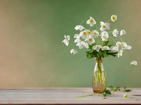 Spring bouquet. Bouquet of white Adonis in a glass vase. Stock Photos