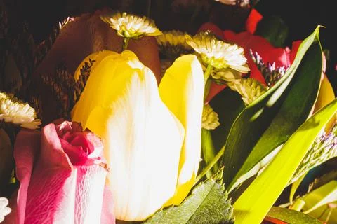 Spring bouquet of bright multi-colored flowers close-up. Stock Photos
