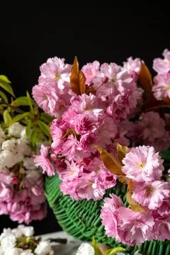 Spring bouquet of cherry tree branches. Foto stock