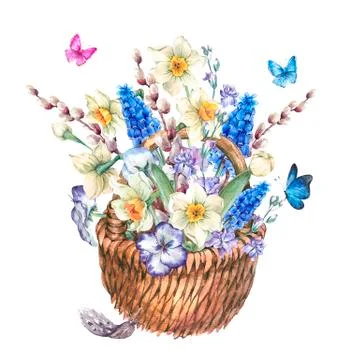 Spring bouquet with daffodils in the wicker Stock Illustration
