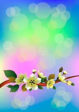 Spring , bouquet of flowers . Stock Illustration