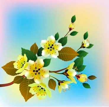 Spring , bouquet of flowers . Stock Illustration
