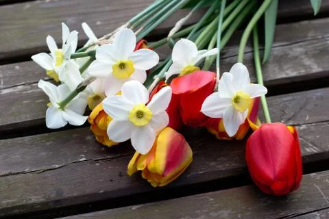 Spring bouquet flowers Stock Photos