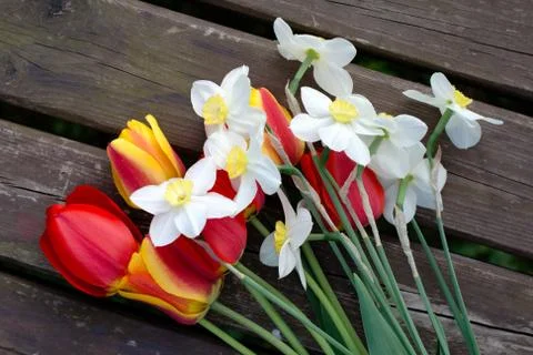 Spring bouquet flowers Stock Photos