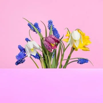 Spring bouquet of flowers Stock Photos