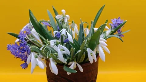 Spring bouquet Stock Footage 331394883