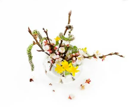 Spring bouquet isolated Stock Photos