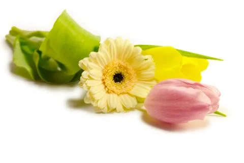 Spring bouquet Fotos de archivo