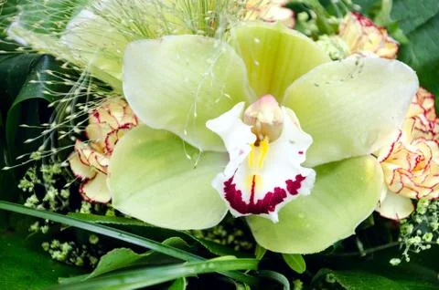 Spring bouquet. Foto stock