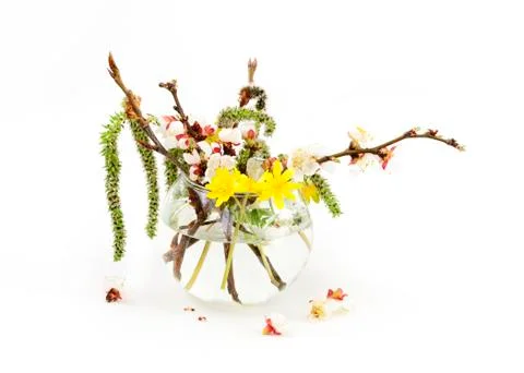 Spring bouquet Stock Photos