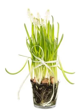 Spring bouquet Foto stock
