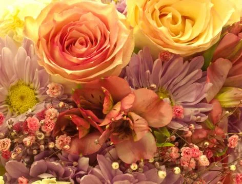Spring bouquet Stock Photos