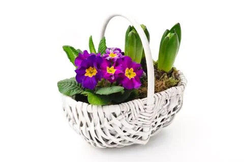 Spring bouquet Stock Photos