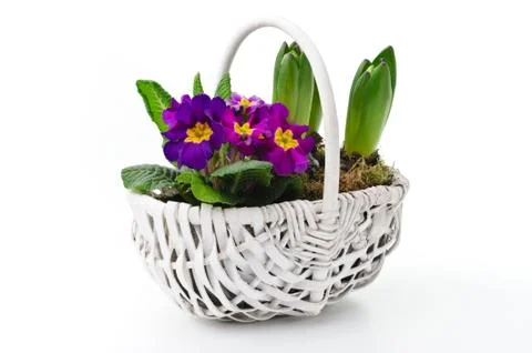 Spring bouquet Stock Photos
