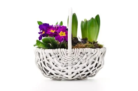 Spring bouquet Stock Photos