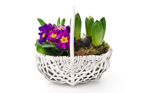 Spring bouquet Stock Photos
