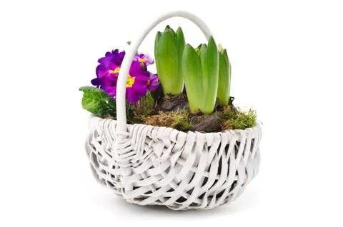 Spring bouquet Stock Photos