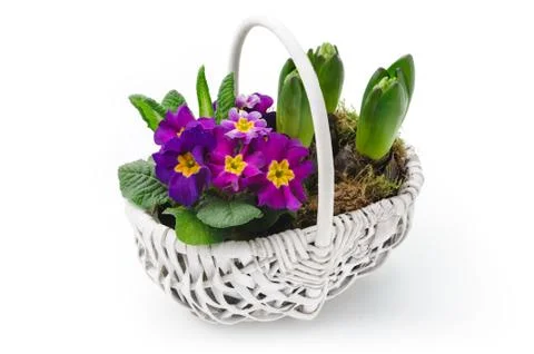 Spring bouquet Stock Photos
